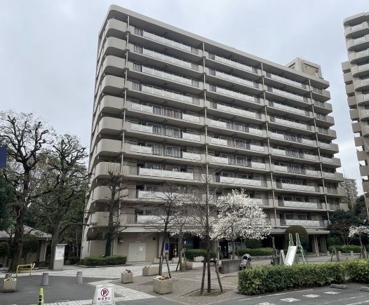 光が丘パークタウン大通り南