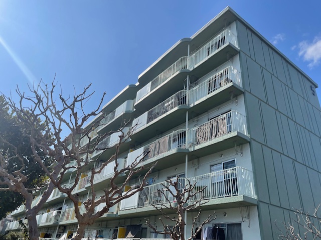 東新井団地5号棟