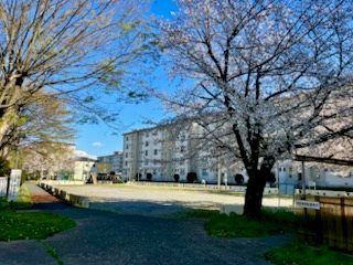 武里団地 現地写真
