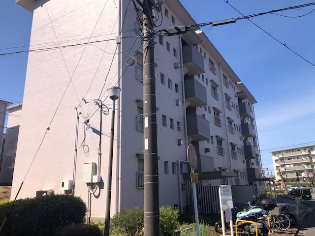 小金原団地