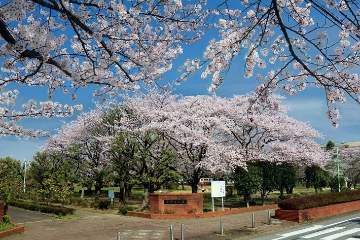 三郷早稲田団地（3丁目） その他