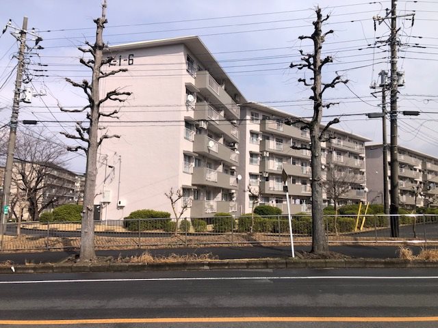 小金原団地（7-1） 現地写真