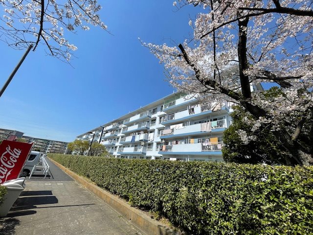 みさと団地（12街区） 現地写真