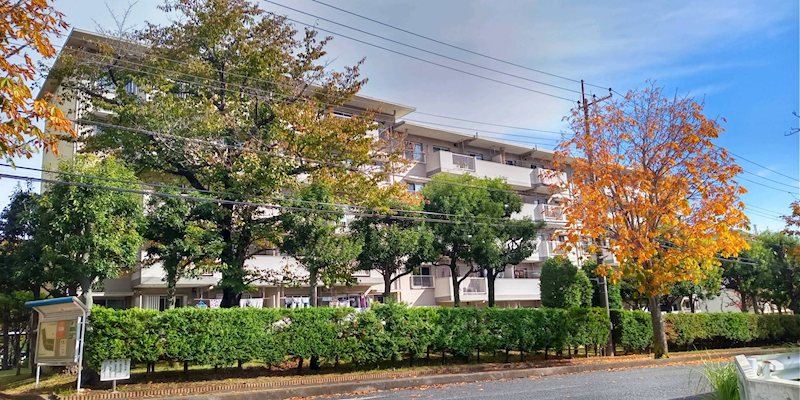 さつきが丘東住宅 その他