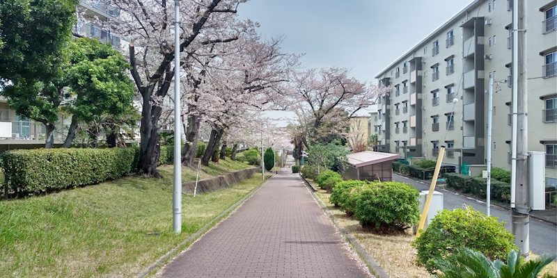西小中台団地33棟 その他