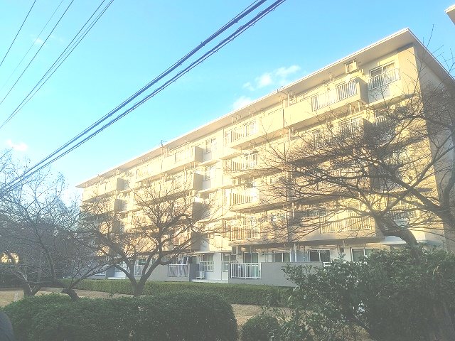 新栄町団地2街区 現地写真
