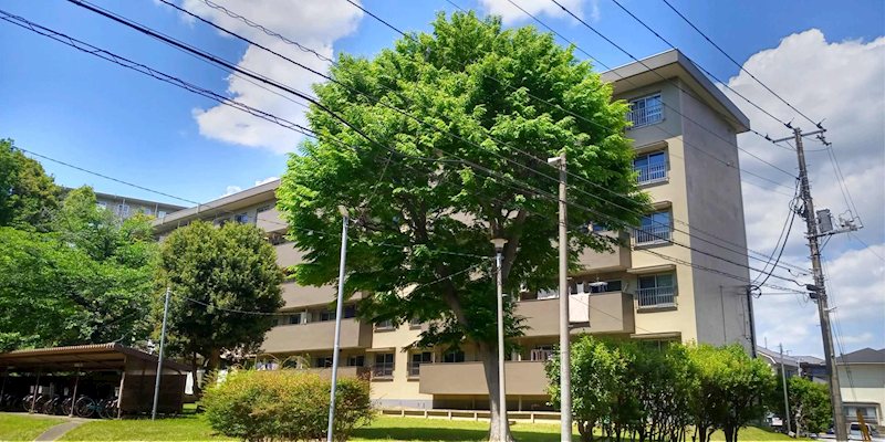 西小中台団地5棟 現地写真