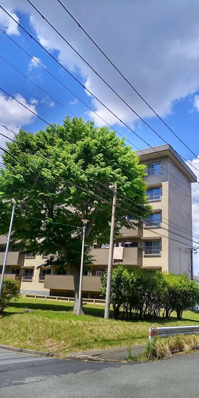 西小中台団地5棟 その他