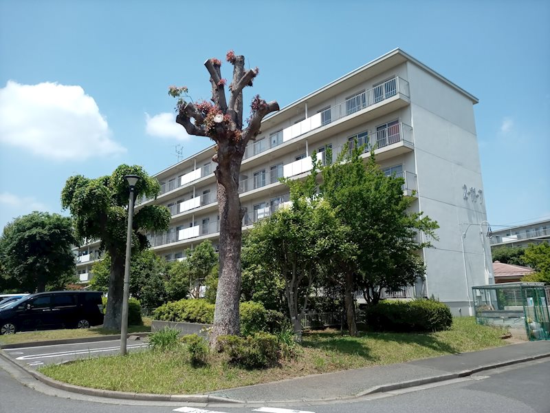 大山口住宅 現地写真