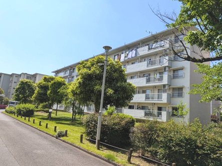 草加旭町団地 現地写真