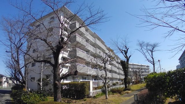 東鷲宮ニュータウン駅前通り