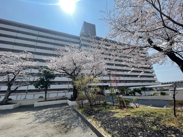 野庭団地619