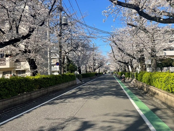 滝山団地3街区 その他