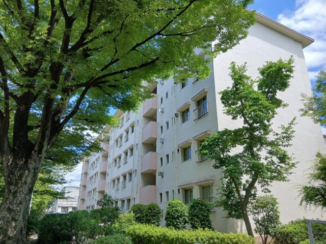 西三田団地