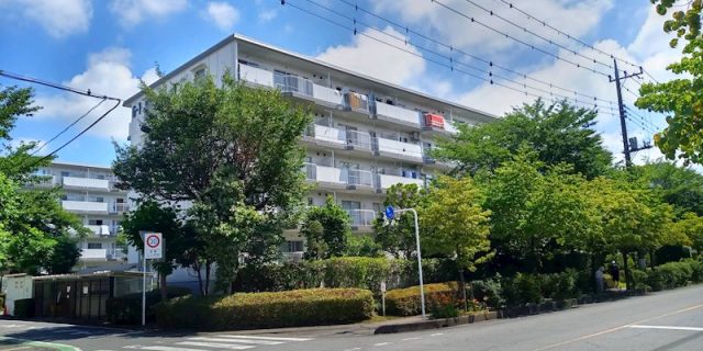 東鷲宮ニュータウン駅前通り