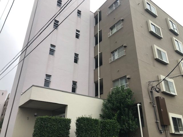沼南エリカ